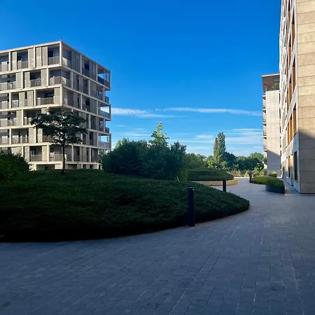 Cozy Cloche Nest - *